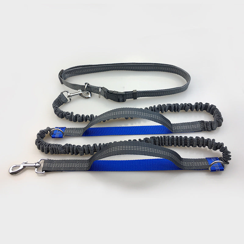 Running, reflective, double elastic, dog leash - My Store