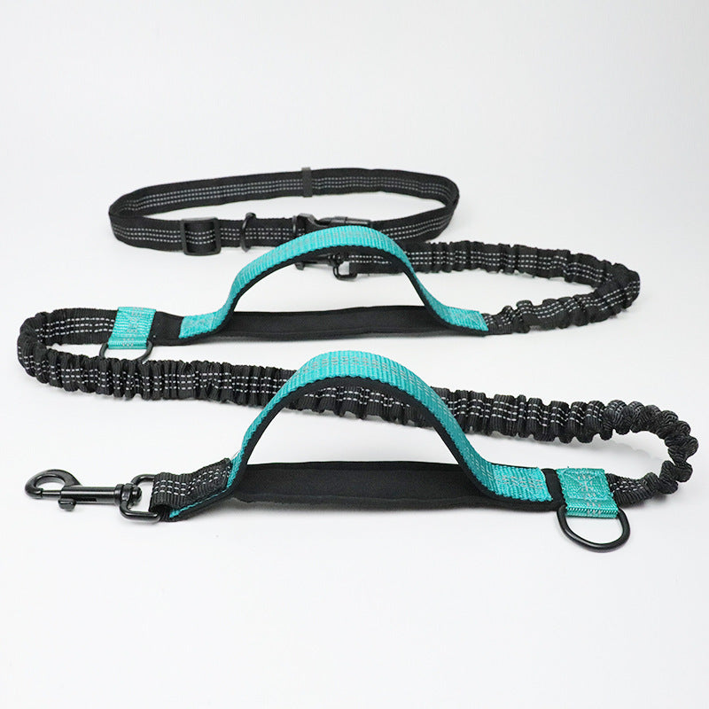 Running, reflective, double elastic, dog leash - My Store