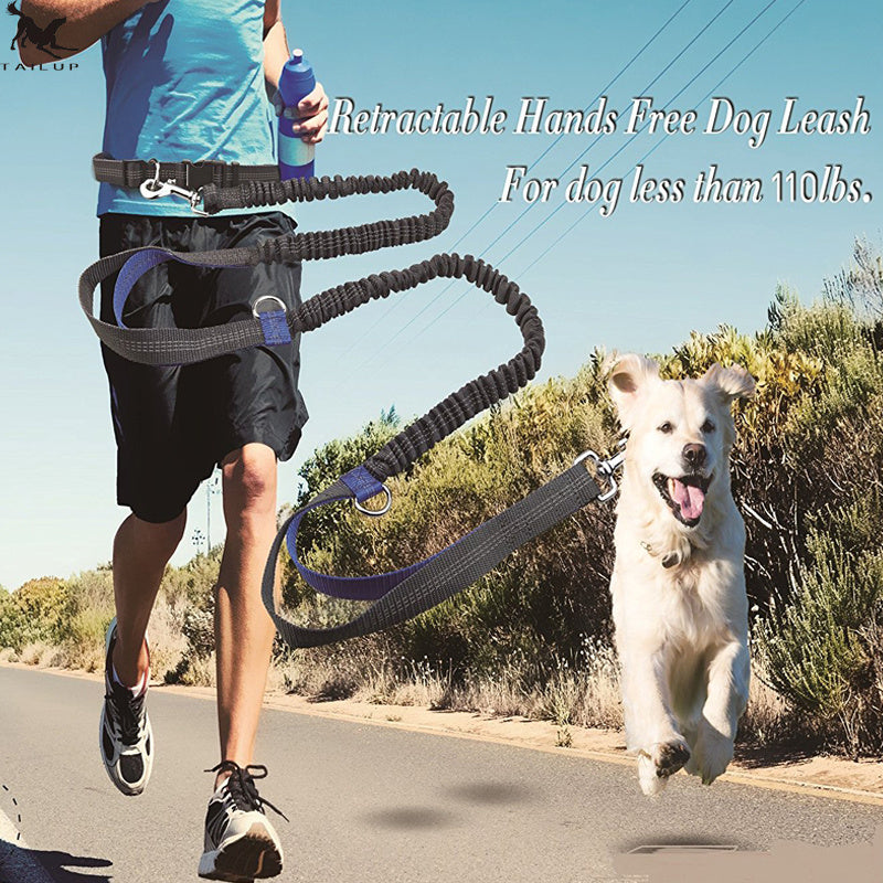 Running, reflective, double elastic, dog leash - My Store