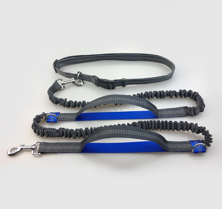 Running, reflective, double elastic, dog leash - My Store