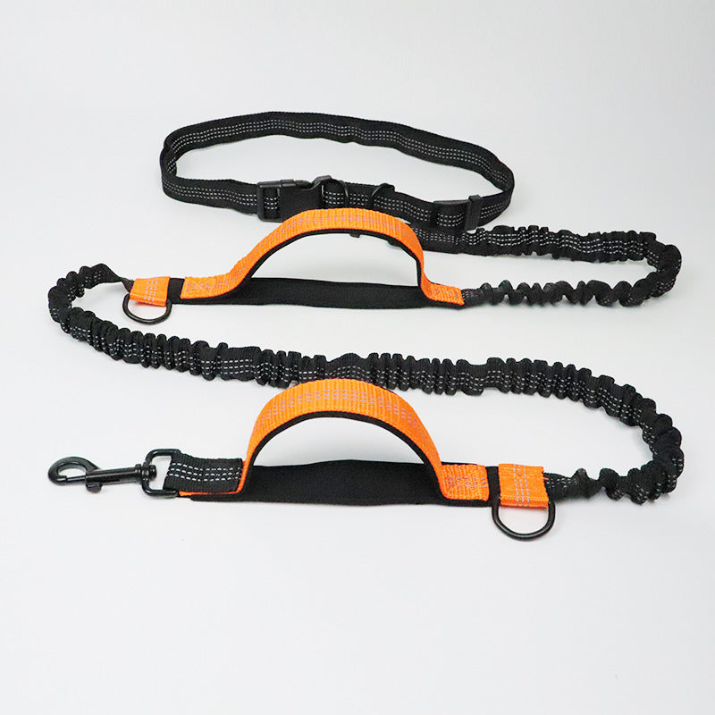 Running, reflective, double elastic, dog leash - My Store