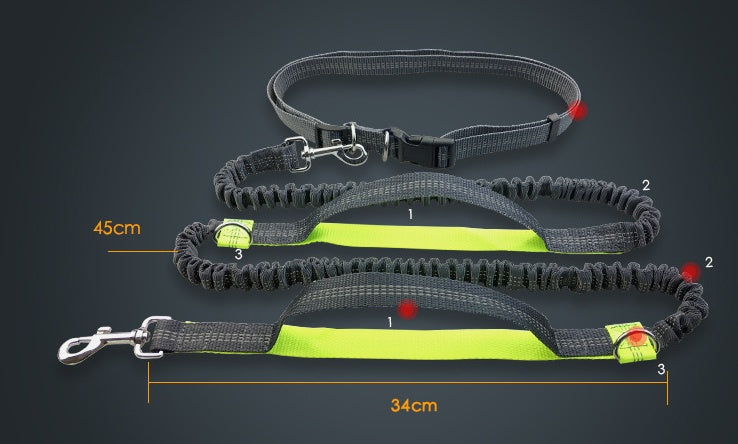 Running, reflective, double elastic, dog leash - My Store