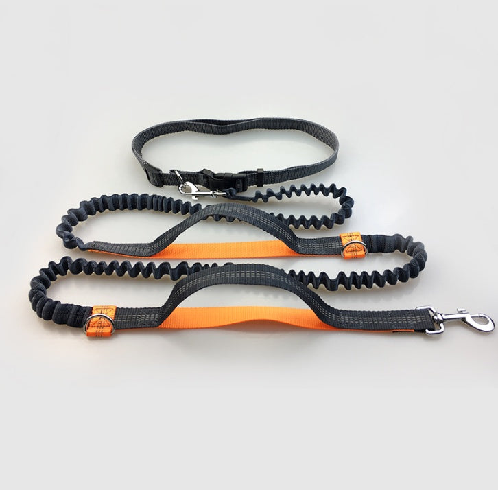 Running, reflective, double elastic, dog leash - My Store