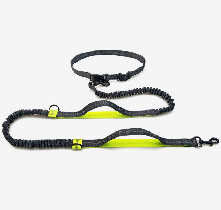 Running, reflective, double elastic, dog leash - My Store