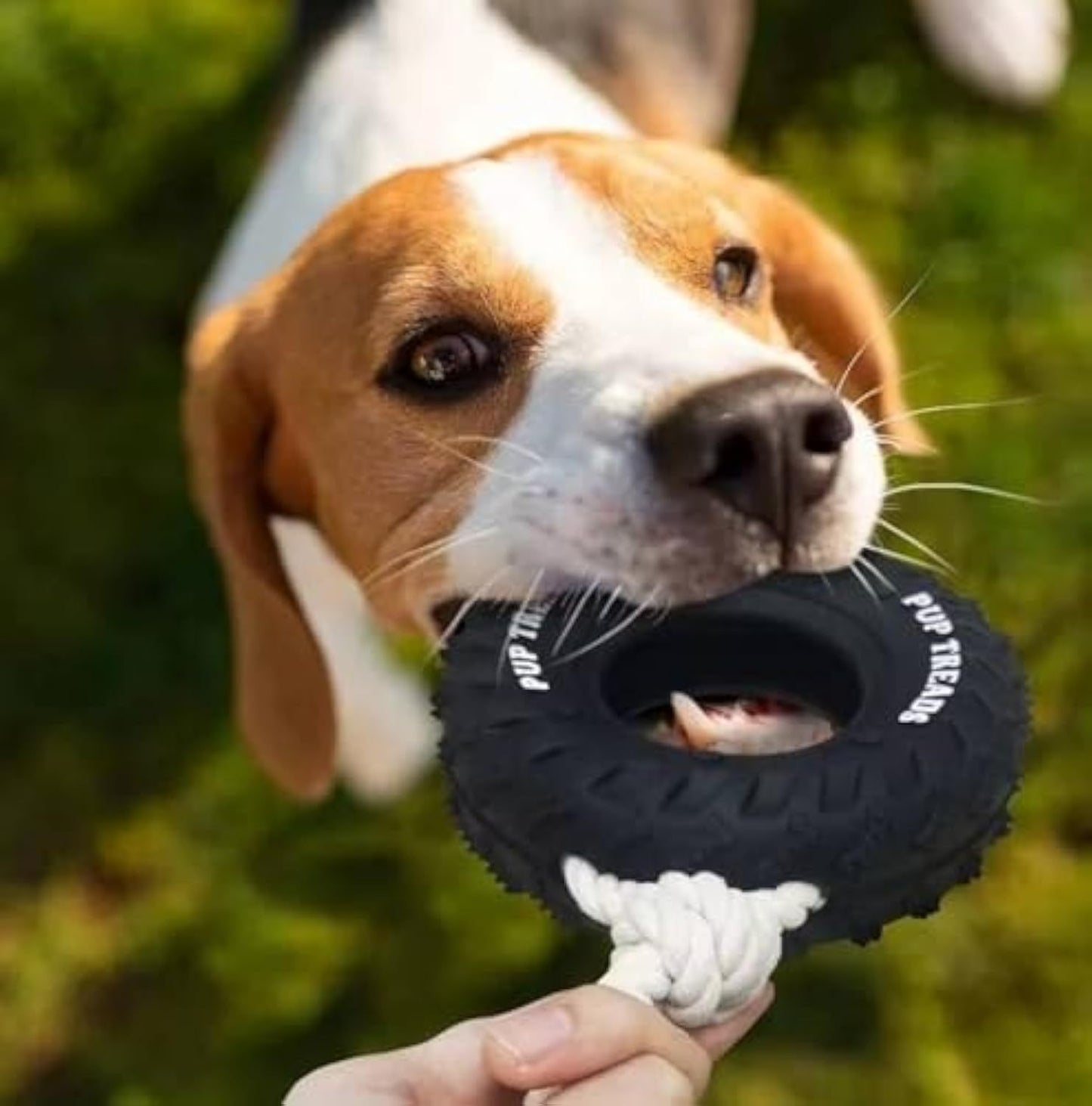 Durable Dog Toy For Aggressive Chewers - My Store