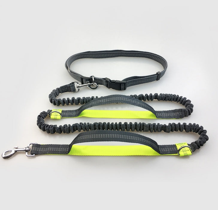 Running, reflective, double elastic, dog leash - My Store