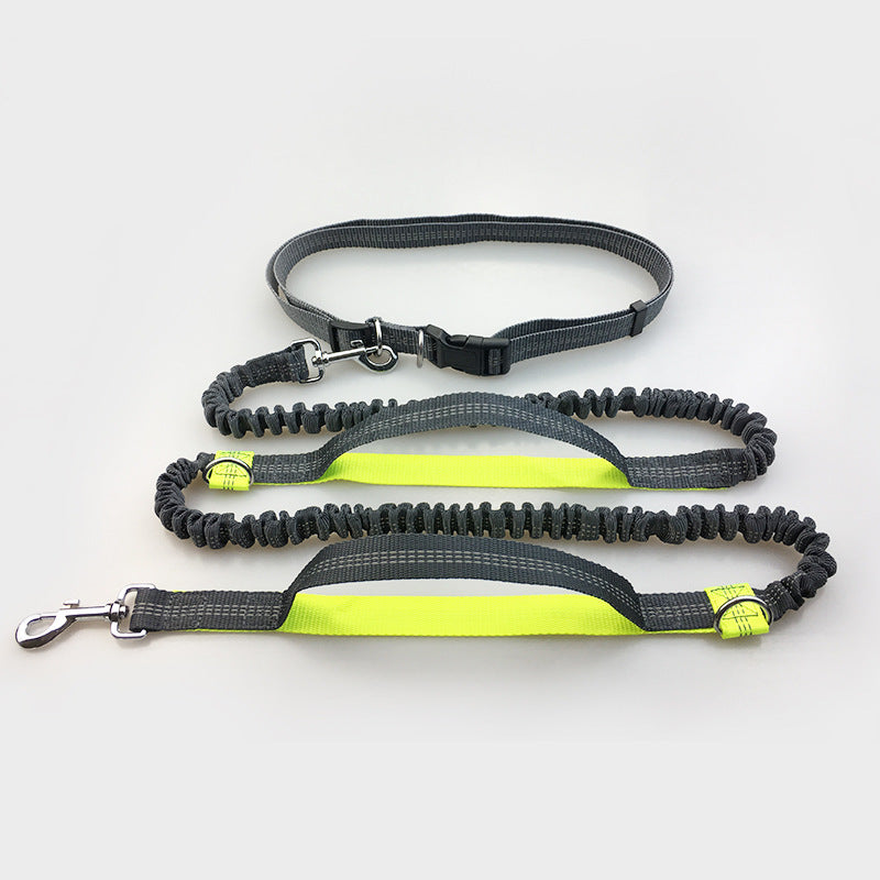 Running, reflective, double elastic, dog leash - My Store