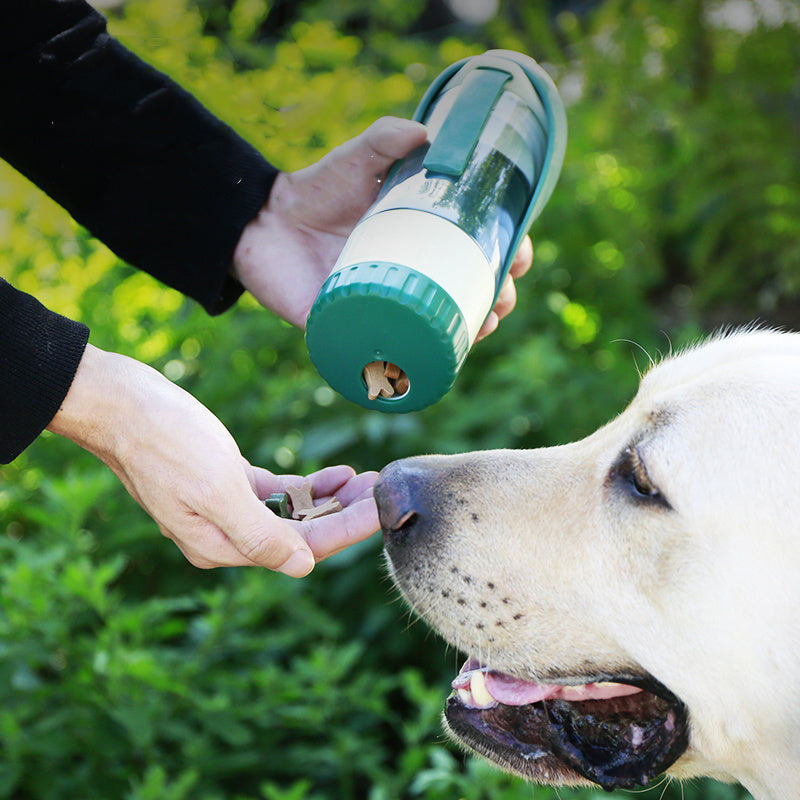 Foldable, Portable Puppy Food Bowl and Drinking Dispenser - My Store